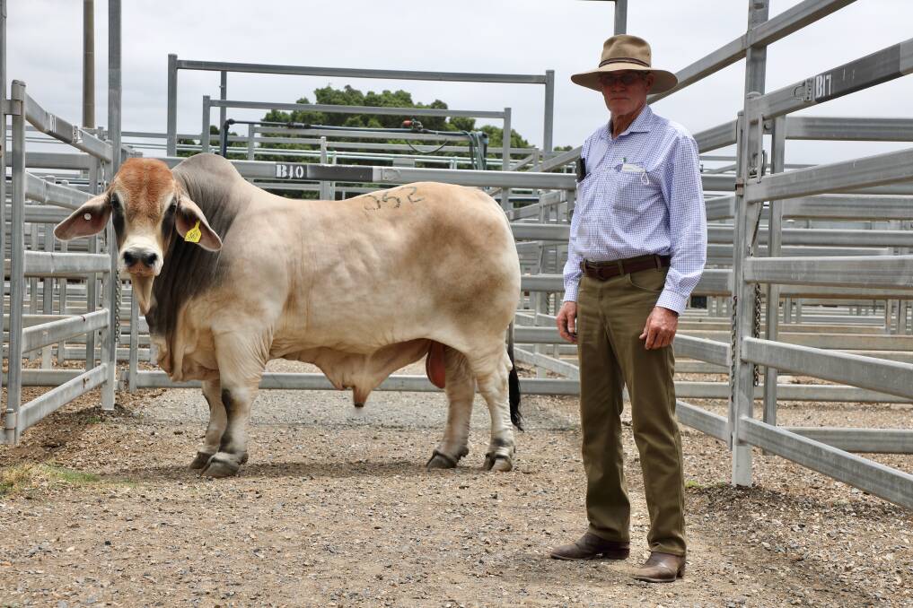 The $28,000 Charbray entry, Diamond Dove Quigley topped proceedings on the final day of the annual February All Breeds Sale. The 26-month-old, 1065 kilogram bull, is with vendor and breeder, Bill Lewis, Diamond Dove stud, Monto.