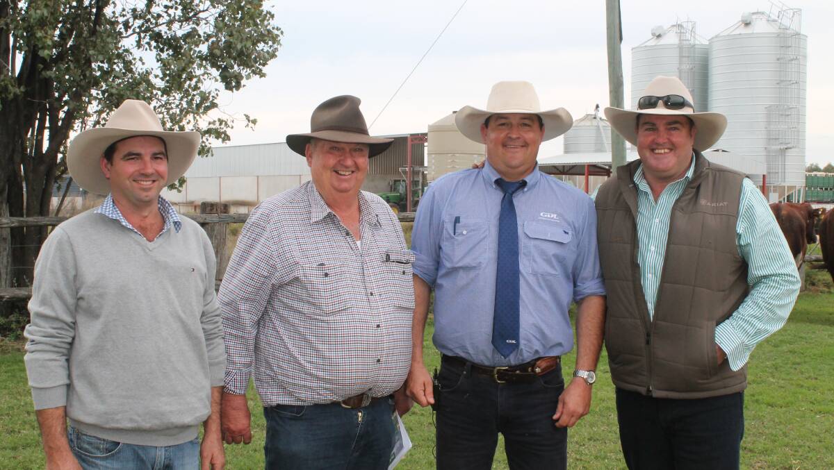Stuart and John Brownlie, Deepwater Farming, Meandarra who paid the $65,000 record Shorthorn money for The Grove RO673 with GDL auctioneer Geoff Maslen and Spencer Morgan, The Grove Shorthorns, Condamine.