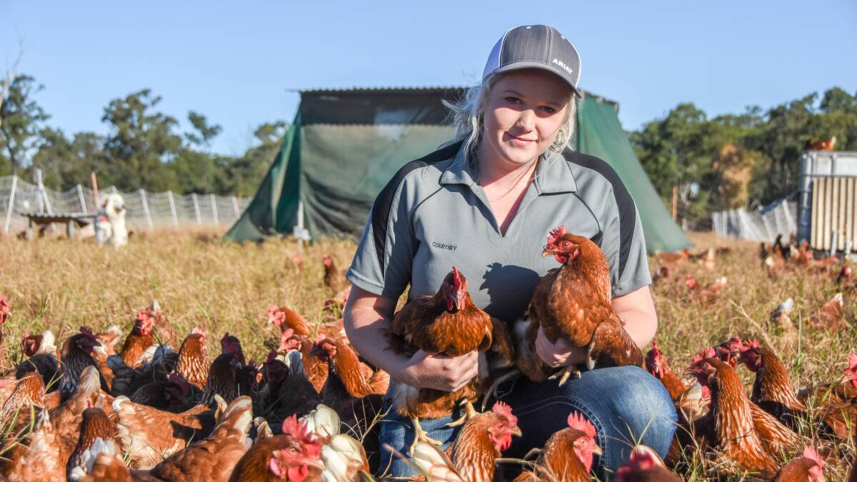 Teen ditches uni to buy pasture fed chicken farm