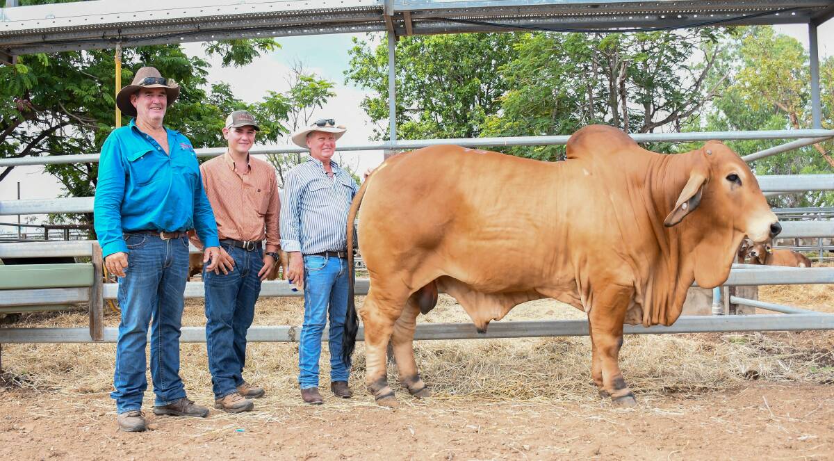 Buyers David and Luke Stevens, Cremona Brahmans, Julia Creek, with Steve Taylor of Clukan Brahmans and the $125,000 Clukan Redwings. 