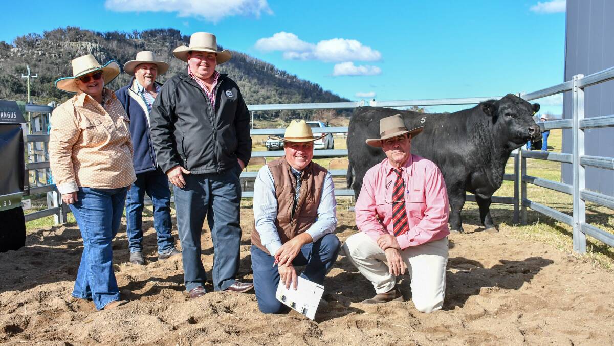 Alumy Creek principals Lisa Martin and Colin Keevers with top price buyer Michael Smith, Adrigoole Angus, Woodenbong, George and Fuhrmann auctioneer Darren Perkins and Elders auctioneer Brain Kennedy with the $15,000 bull, Alumy Creek Opportunity P097.