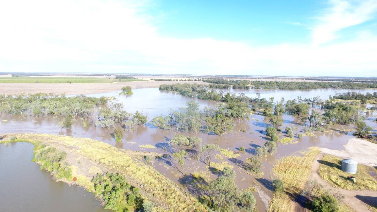 Webster Grain and Grazing, north west of Goondiwindi, experienced localised flooding. Photos: Ian Archer 