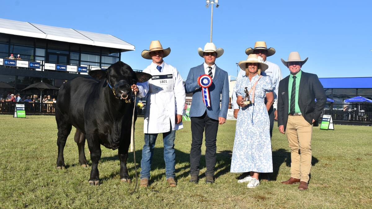 Bullakeana Wide Load held by Jake Turner with judge PJ Budler, exhibitors Brad and Vicki Hanson, Hanson Cattle Co, Theodore and Nutrien's Colby Ede. Picture: Ben Harden 
