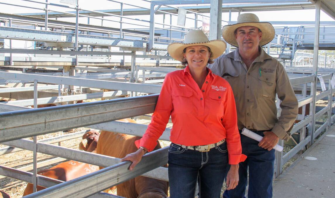 Colleen and Dave Smith of Vale View Droughtmaster were happy with their results.
