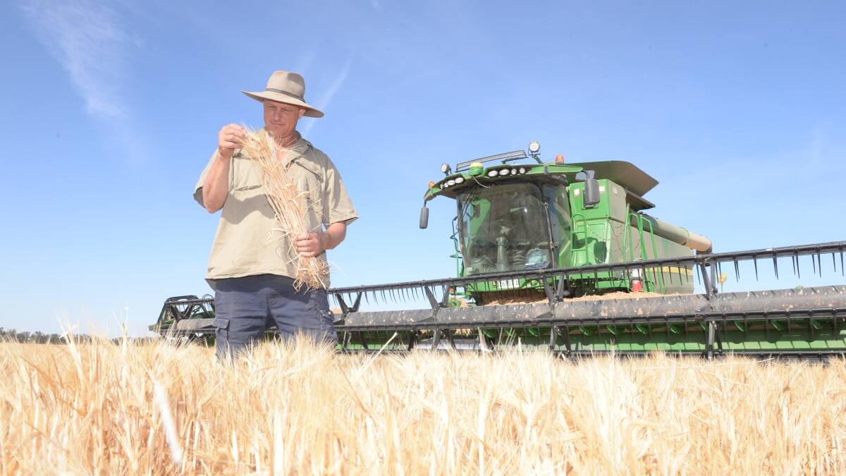 Top crop: Nathan Heckendorf, Top Reeds, Narrandera, harvesting Spartacus barley. Photos: Rachael Webb