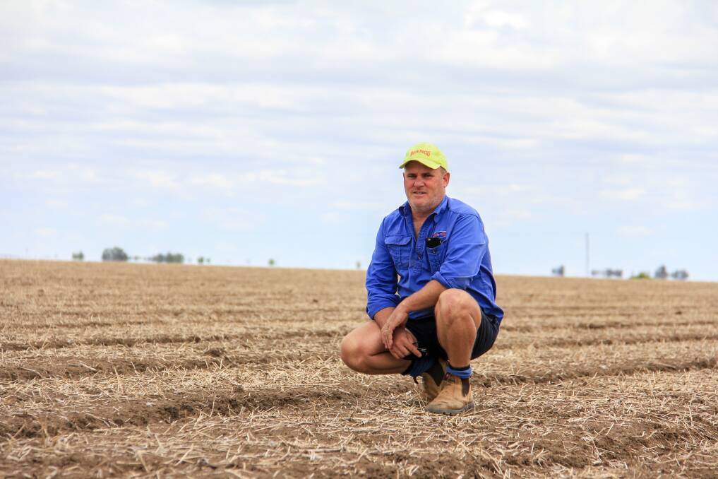 Andrew Moon, Moon Rocks, St George and his brother David Moon have started planting their first commercial broccoli crop bound for South East Asia. 