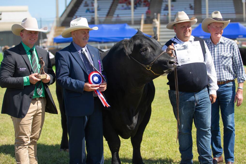 Nutrien's Colby Ede, judge Grame Hopf, handler Troy Nuttridge and owner Glen Perrett with Bowenfels Reality T1. Picture: Kelly Walsh 