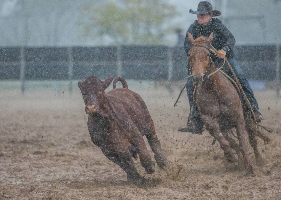 Nikki Marshall competing in Novice A at a very wet Alpha campdraft. Picture: JEM Photography