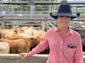 Charbray cross steers from JA and DK Yeldham of Dululu made 374c/kg at 279kg to return $1044/hd. Picture: CQLX 