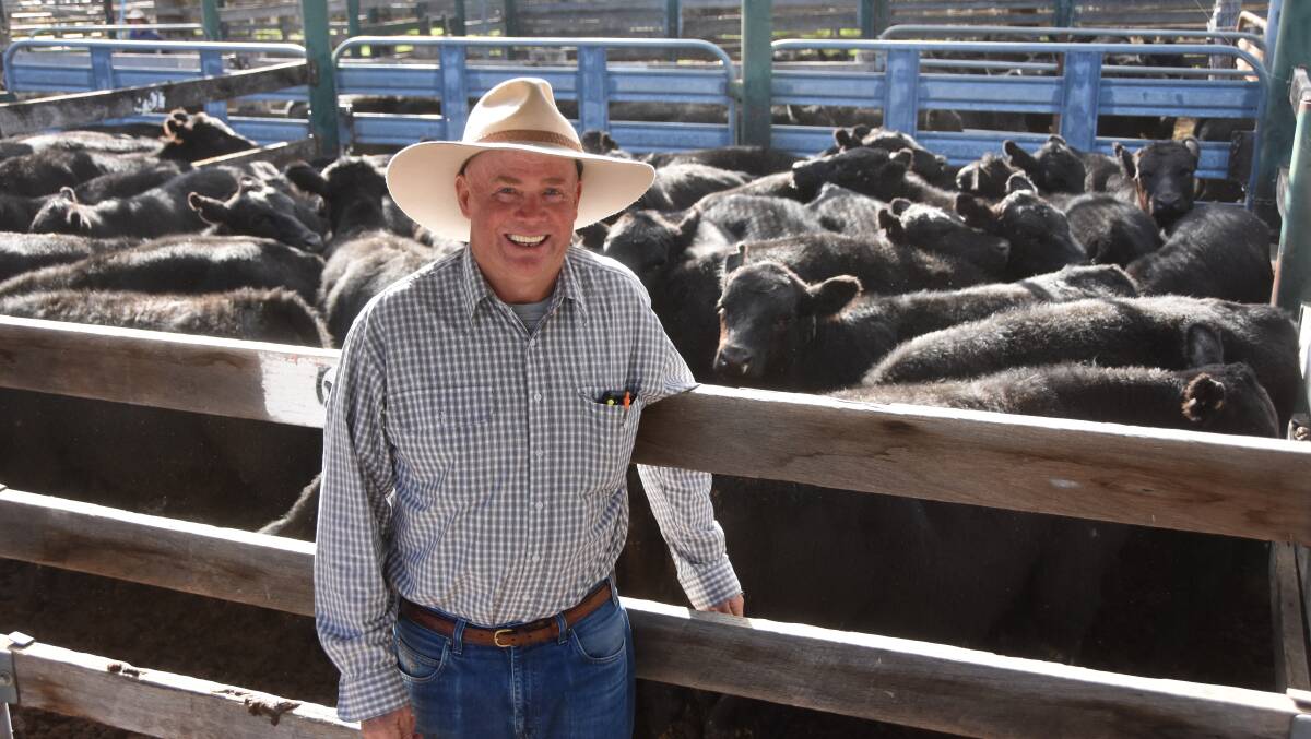 Allan Fletcher, Glenroy, Glen Innes, was awarded grand champion Angus heifers. He is pictured with his Angus steers. The heavier portion sold for 317c/kg at 310 kilograms to return $980/hd while the remaining 245 kilogram steers made 350c/kg to return $896/hd. 