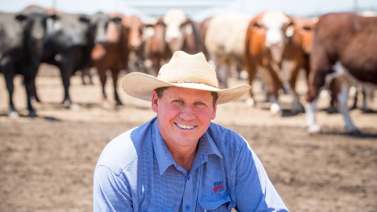 Mort and Co's general manager for livestock and logistics Brett Campbell spoke about their central Queensland expansion plans. File picture