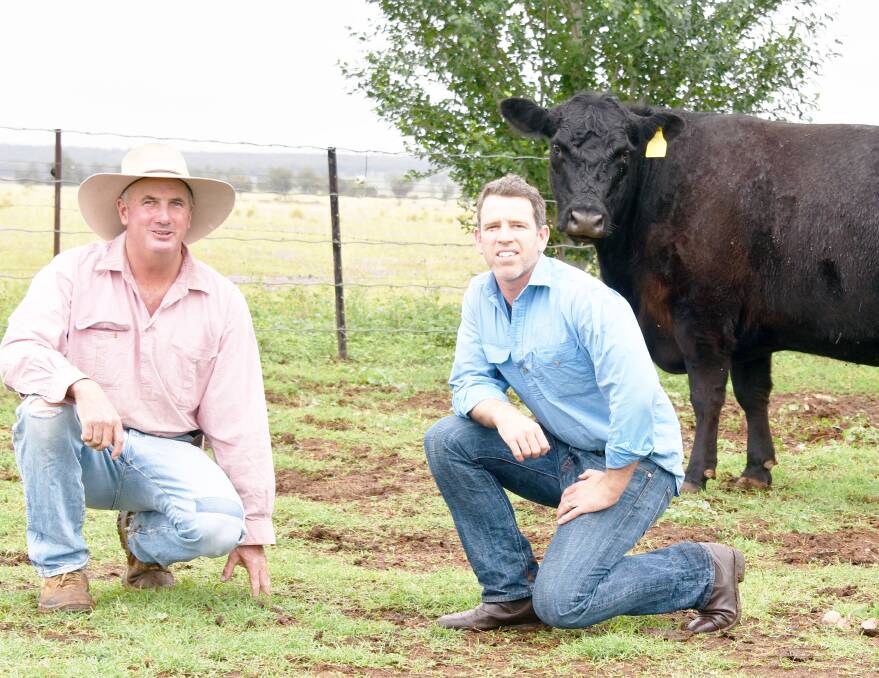 Ben Mayne of Texas Angus with Geoff Birchnell of 3R Livestock who secured Texas Pride E030 for $60,000 in a private sale. Photo: Supplied