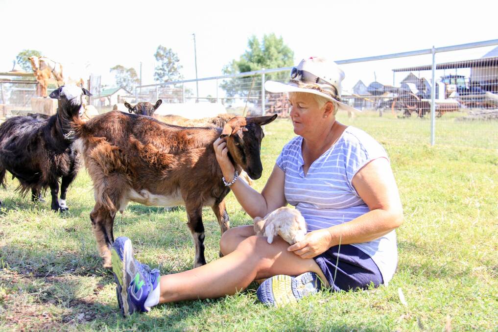 Robyn Goldsmith with some of her minature goats. 