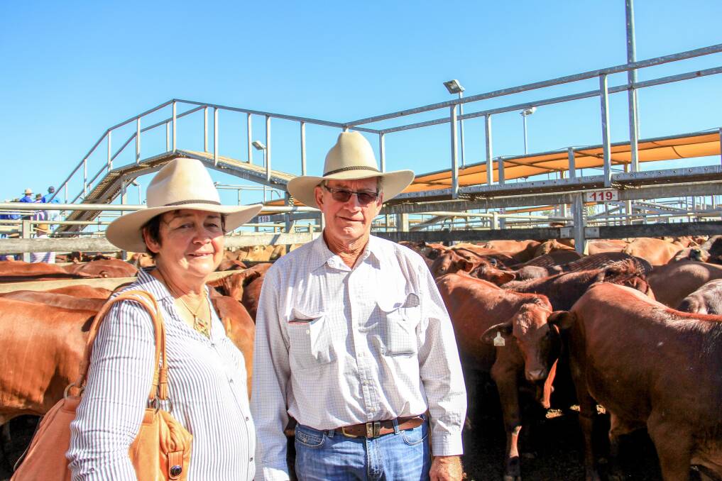 NORTHERN VENDORS: Donna and Angus Deane, Malboona Staton, Corfield sold 490 steers for 346c/kg to average 341kg and return $1185/hd at the Roma Store Sale on Tuesday. 