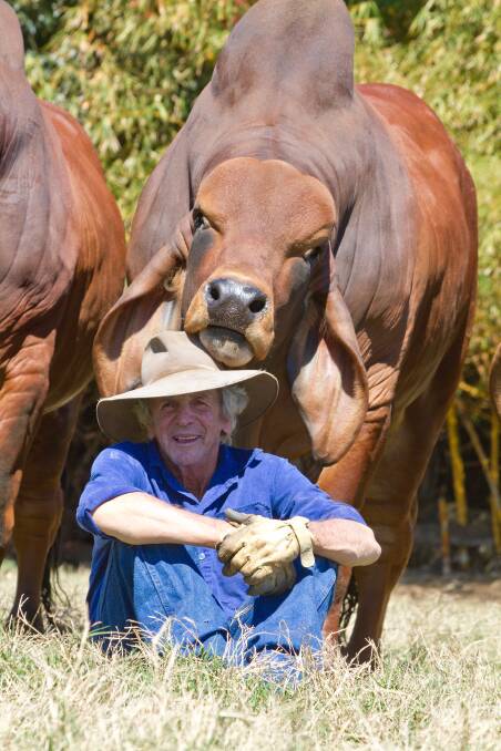 Bill Geddes, Doonside Brahman Stud, Barmoya with his mate, Doonside Mr C Eagle. This image is one Kent said was the right place, right time. 