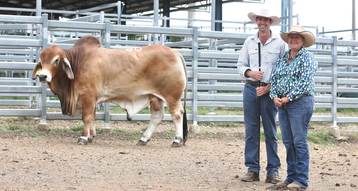Chris Turner, Muan stud, Biggenden and purchaser, Beth Streeter, Palmvale stud, Marlborough with her record priced acquisition, the $45,000, Muan Woodrow 6576 (IVF) (PS). The bull was sold by Len and Sandra Gibbs, Muan Stud, Biggenden.