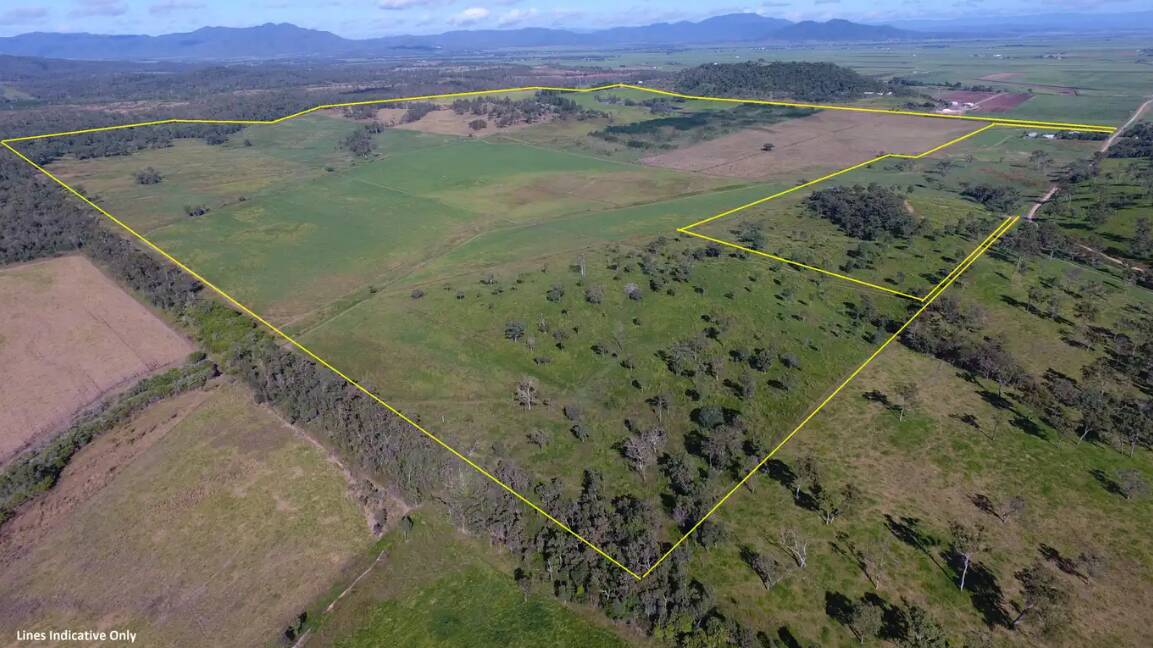 RAY WHITE RURAL: Mackay property Pine View Park has sold at auction for $8.2 million. 