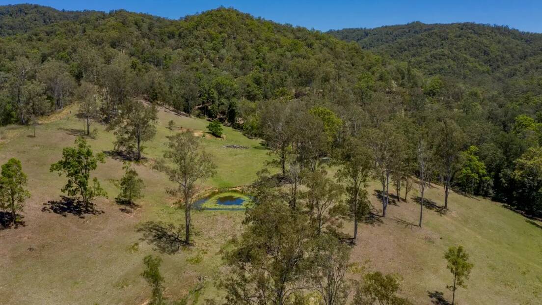 Tallowwood covers 128 hectares (315 acres) of land backing onto Bellthorpe National Park.