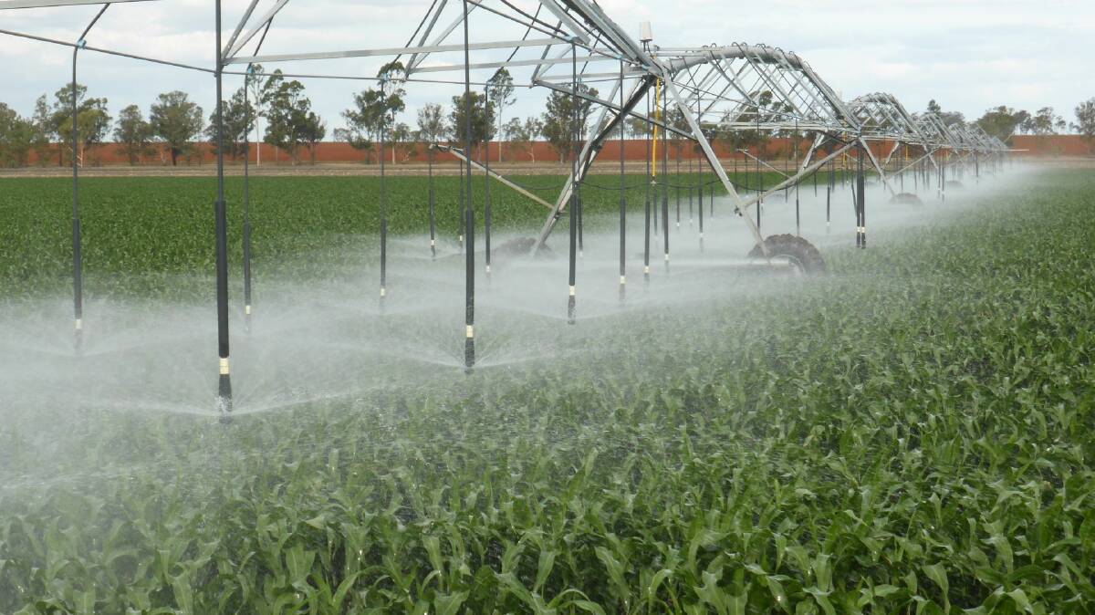 Birrageela features a 940m Zimmatic centre feed lateral move travelling irrigator.