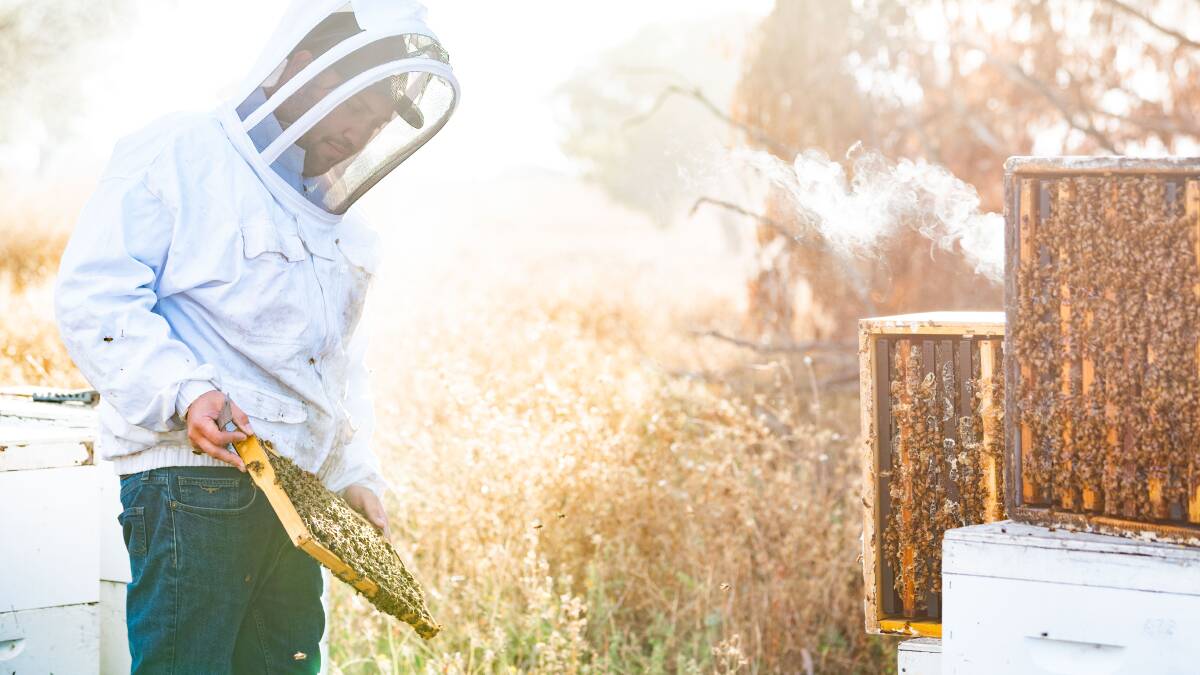The importance of Australia's honey bee industry is being celebrated on World Bee Day.