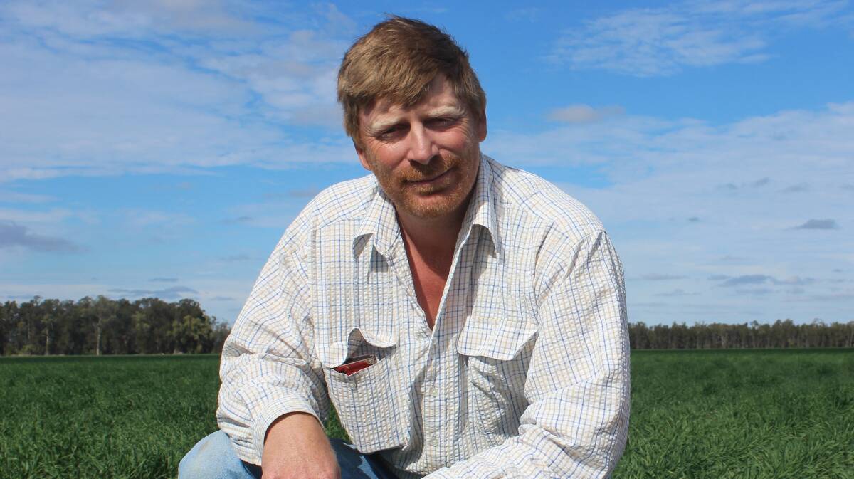 WARRABOY: Western Downs farmer Brendan Taylor is the new AgForce Grains president.