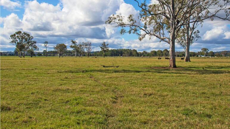 The property covers 109 hectares and is predominantly cleared blue gum alluvial creek flats with about 80ha of irrigation.