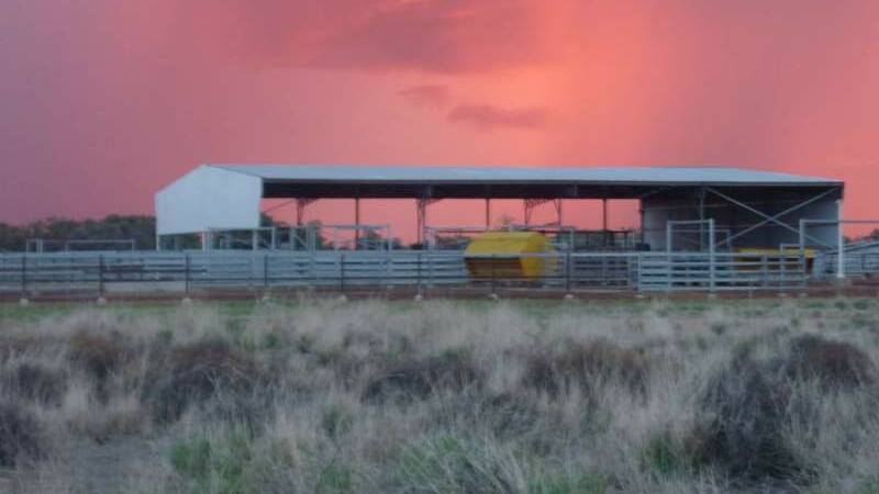 A large 45x28m high set roof over the cattle yards.