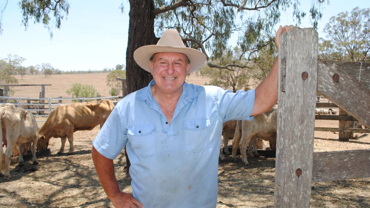 South Burnett cattle producer Mike Bishop has geared his drought planning around maintaining a nucleus breeding herd.
