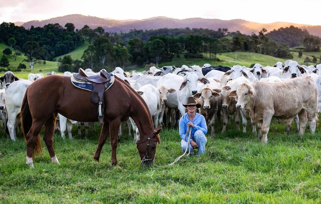 First time vendor Maree Duncombe, Conondale, has 80 mostly naturally polled weaners by Ascot Charolais bulls.