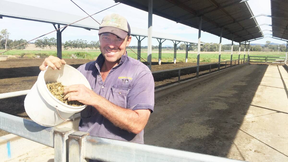 Harrisville dairy farmer Paul Roderick is investing in technology to progress the family's dairy operation.