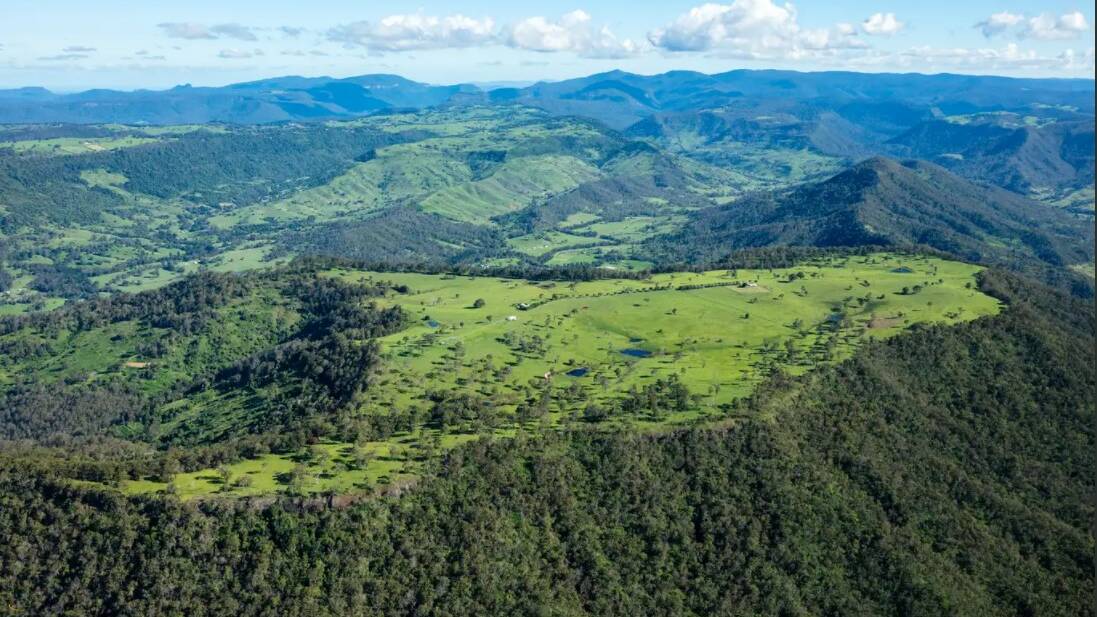 RAY WHITE RURAL: Gold Coast hinterland trophy property Saddleback has sold at auction for $8 million.