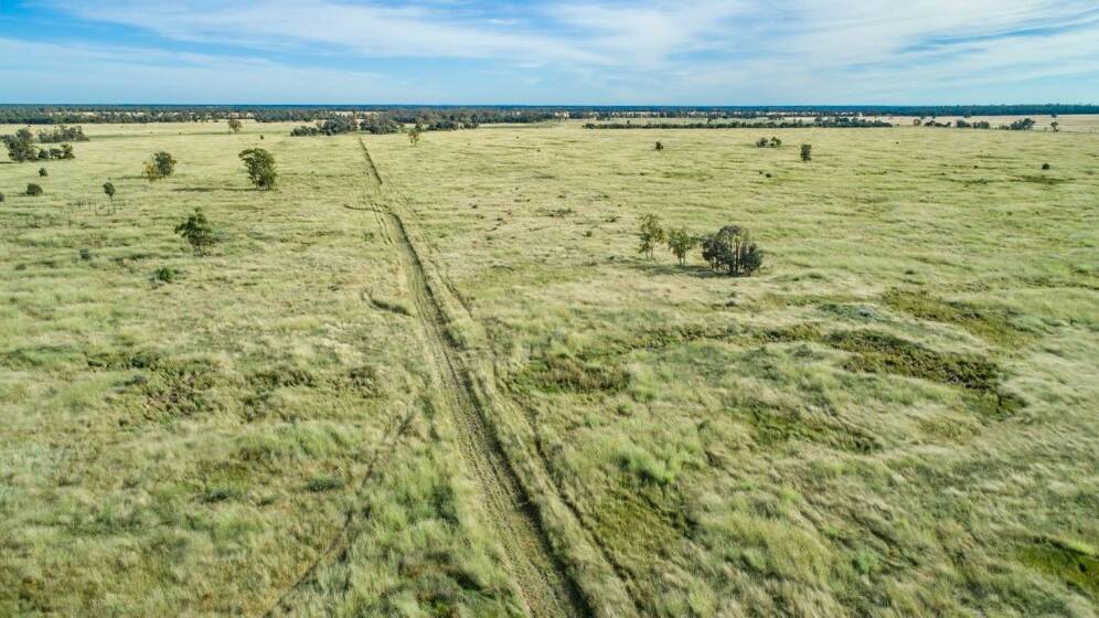 RAY WHITE RURAL: The 1675 hectare Goondiwindi district property Tandarra has sold at auction for $6.9 million.
