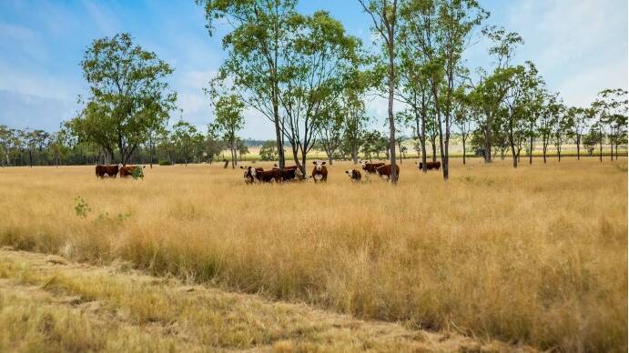 RAY WHITE RURAL: Brookstead property Glendon will hit the market for the first time in 114 years.