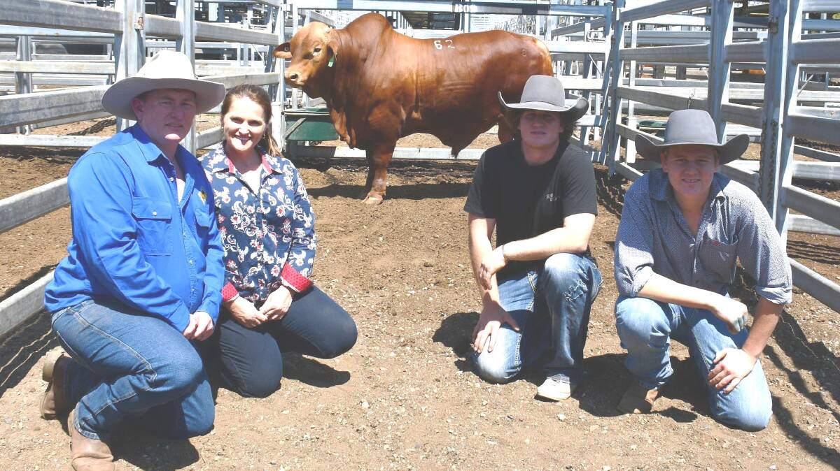 Chris and Hailey Heness, Ridgie Didge, Goomeri, and brothers Brendon and Ryan Childs with Ridgie Didge Efficient (S) D5 that sold for $31,000 to the Childs family, Glenlands, Bouldercombe. Picture - JANE LOWE