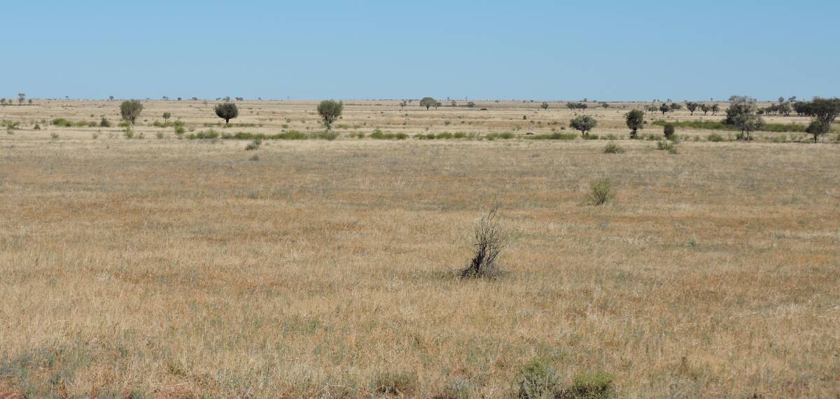 Prairie Downs covers 6293 hectares 70km north west of Blackall. 