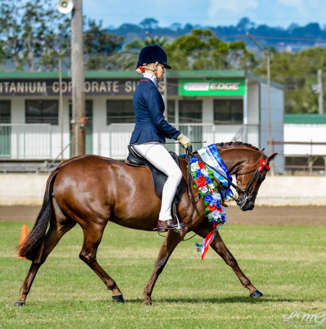 SHOW HORSES: More than 300 horses will be competing at the upcoming Northern NSW Championships in Lismore. Photo - LMG Photography 