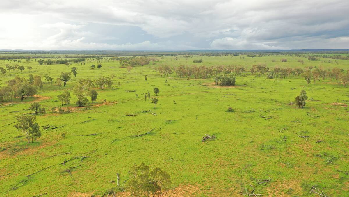 RESOLUTE PROPERTY SERVICES: The Knudsen family has bought to Maranoa property Mount Lonsdale prior to auction.