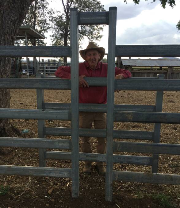 ESCAPE HATCH: A narrow gap with a backing fence provides a convenient exit point in Lance Bischoff's cattle yards. 