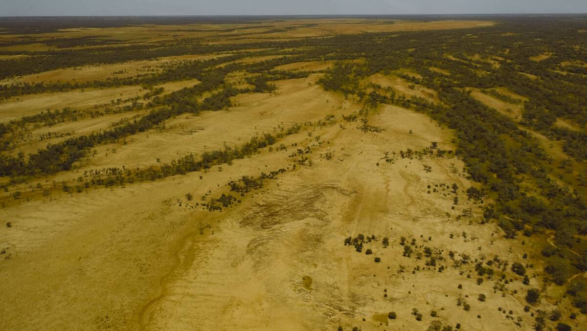 WESTERN QUEENSLAND: Stirling Buntine's western Queensland cattle breeding, backgrounding and fattening operation Tulmur, Tranby and Owens Creek is on the market, to be auctioned on May 10.