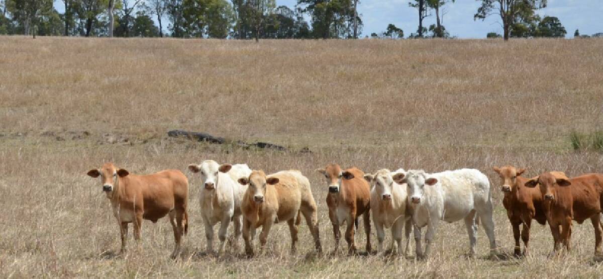 RAY WHITE RURAL: Eureka district property Dunmaglas will be auctioned online on December 11.