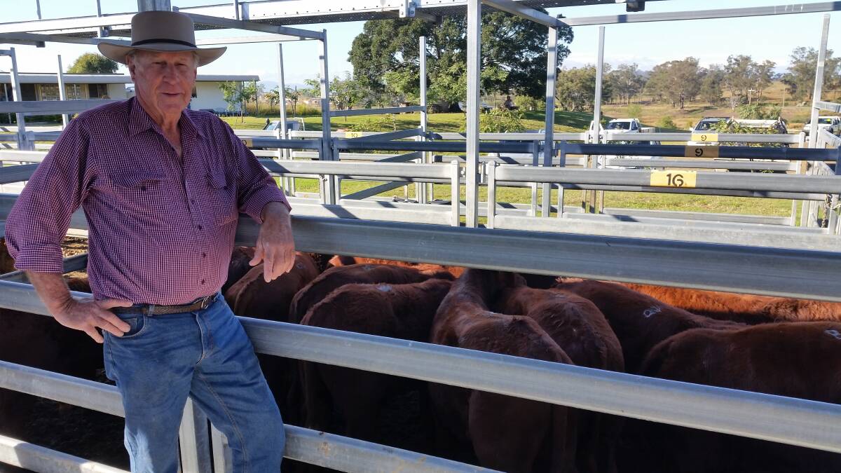 IN DEMAND: Ian Sellars from Rosevale sold Santa weaner steers for $970.