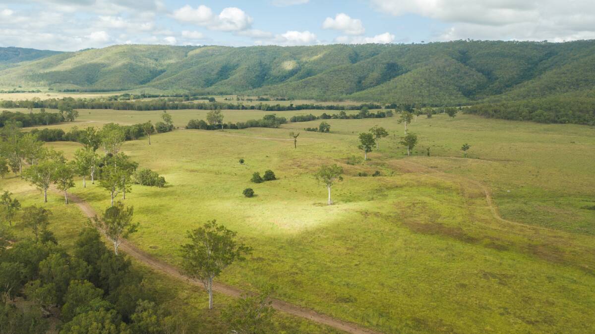 John Morris' high rainfall Central Queensland cattle property Tallawalah will be auctioned on April 11.
