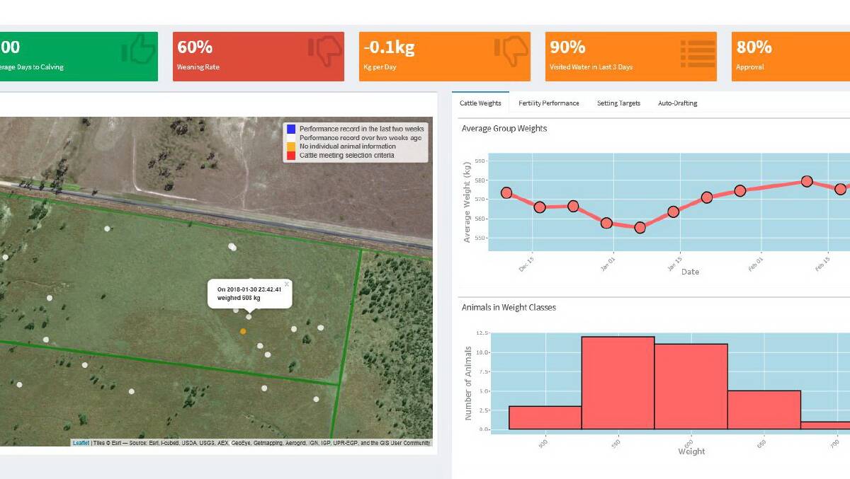 CQUniversity’s new DataMuster platform will be launched at Beef 2018 next week.