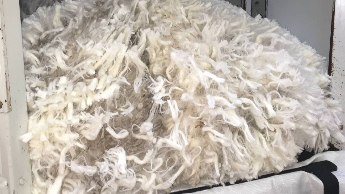 The Australian wool market underwent a swift and violent reaction to the coronavirus outbreak in China. 