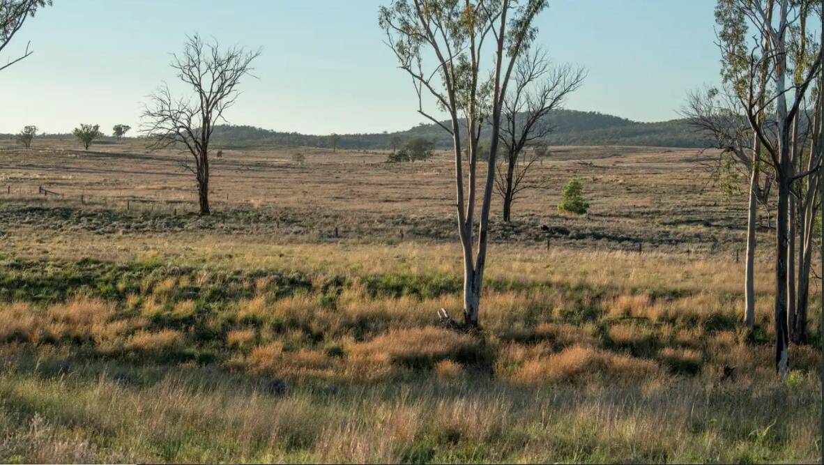 RAY WHITE RURAL: Large scale Southern Downs region aggregation Ennisclare and Columba will be auctioned on December 10.