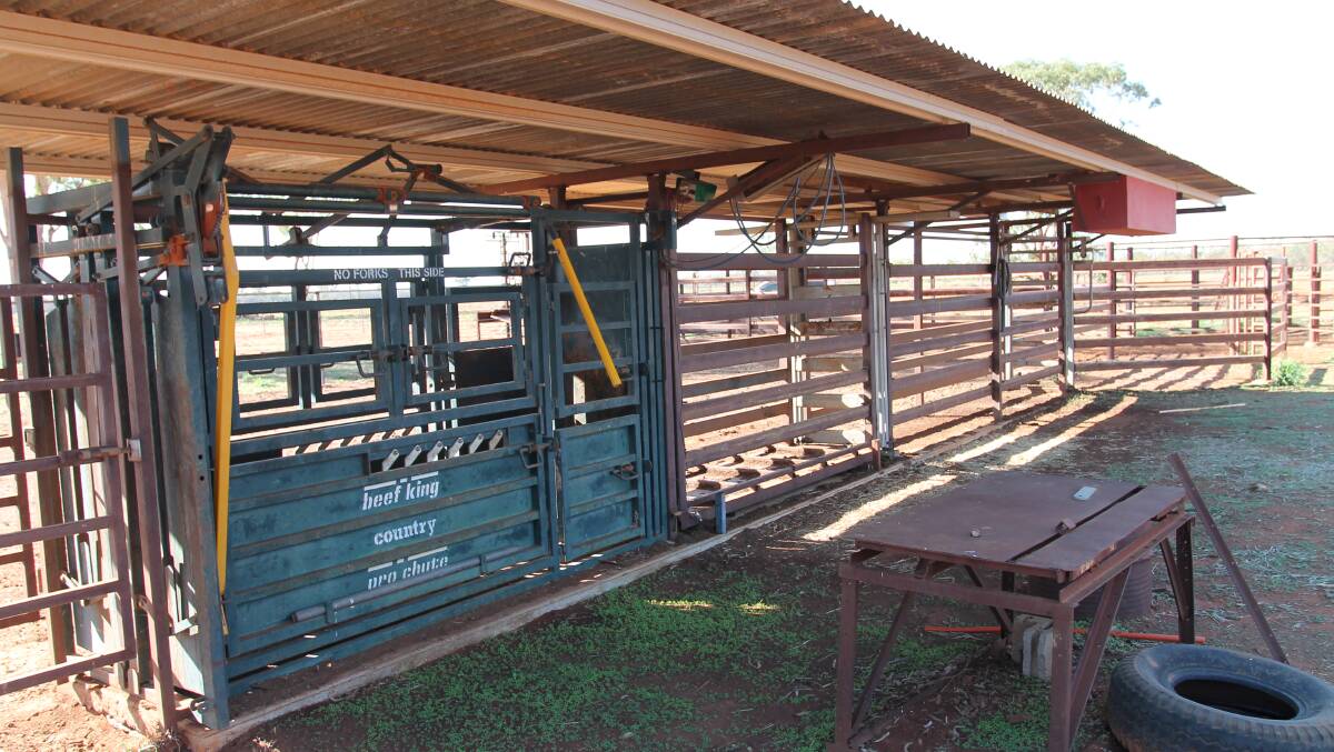 The cattle yards feature an undercover working area.