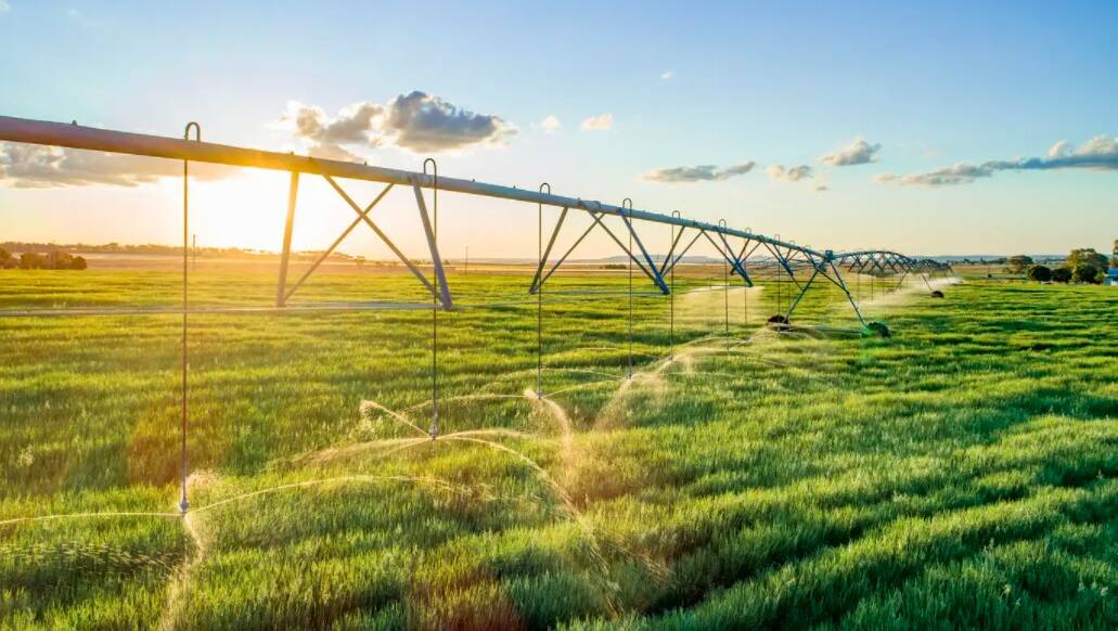 The five span Reinke centre pivot can water 20ha in one circle. 