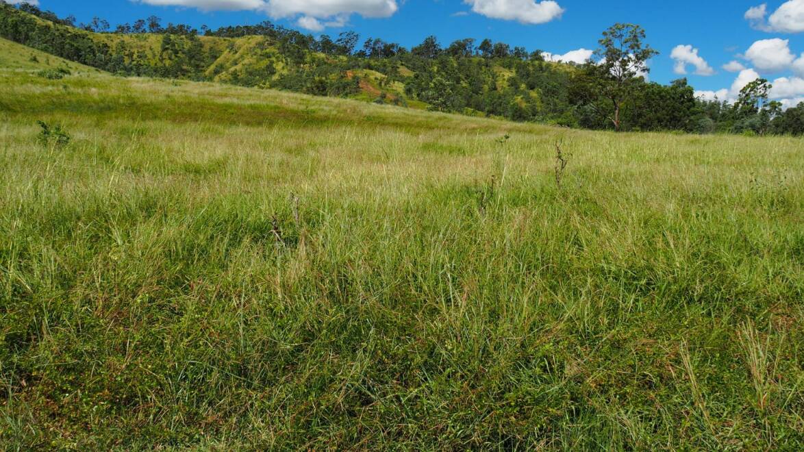 Hidden Valley carries a good body of improved pastures and legumes, supported by excellent soft native grasses. 