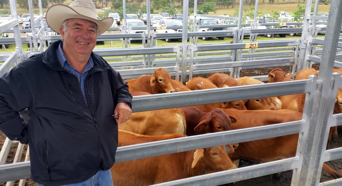 RED HOT: Michael Fraser from Mundoolun sold Droughtmaster weaner steers for $1050 at Beaudesert store sale.