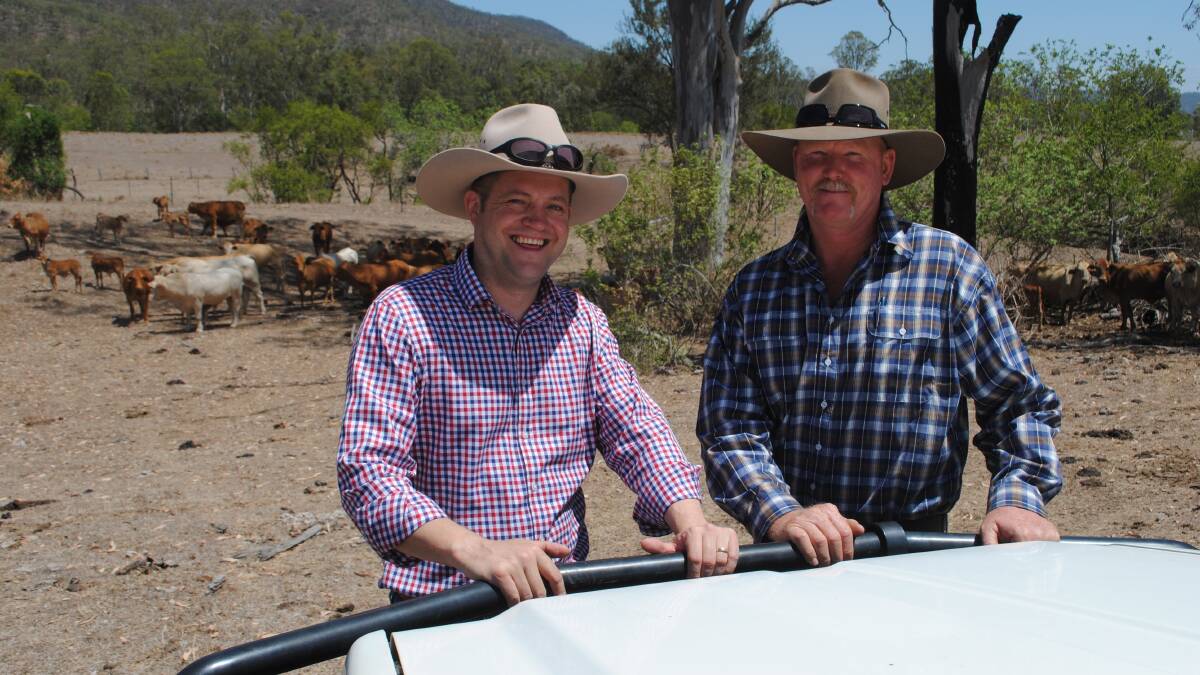 Queensland Trust for Nature chief executive officer Steve Lacey and Aroona cattle manager Chris Schreiweis with cows and calves on the 2000 hectare property. 